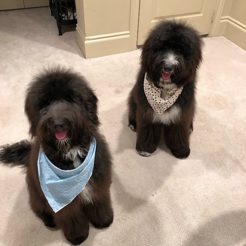 Lei'a and Eddie